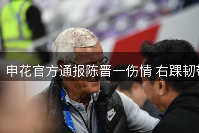 申花官方通报陈晋一伤情 右踝韧带损伤需休养月余